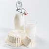 Börner Cheesemaker