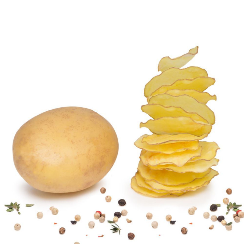 Börner Chipsmaker
